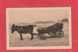 160. BERCK-PLAGE  .  VOITURE A ANE  .  CARTE NON ECRITE - Berck