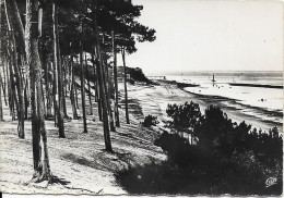 XX 33 Gironde Arcachon Parc Des Abatilles La Cote Vers Le Moulleau - Arcachon