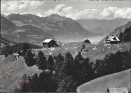 11385501 Schwyz Ski Und Ferienhaus Turnverein Oerlikon Lauenenberg Vierwaldstaet - Other & Unclassified