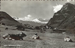 11385218 Melchtal Panorama Kuehe Melchtal - Andere & Zonder Classificatie