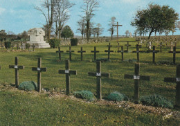 CPM . NEUVILLE-ST-VAAST . LE CIMETIERE ALLEMAND DE LA MAISON BLANCHE ( 50.000 Morts )  CARTE NON ECRITE - Autres & Non Classés