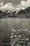 11384772 Truebsee OW Panorama Engelberg - Andere & Zonder Classificatie