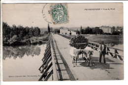 40 - PEYREHORADE - Vue Du Pont - Cartes Postales Ancienne - Peyrehorade