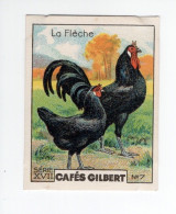 Chromo POULES La Flèche  55 X 45 Mm TB Cafés Gilbert  2 Scans - Té & Café