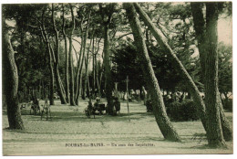 Charentes  ,Fouras Les Bains , Un Coin De Sapinettes - Fouras-les-Bains