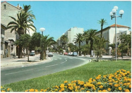 83. Gf. HYERES-LES-PALMIERS. L'avenue Gambetta. 44-352 - Hyeres