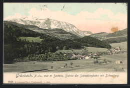 AK Grünbach /N.-Oe., Gesamtansicht Mit Schneeberg  - Andere & Zonder Classificatie