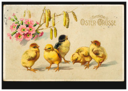 Prägekarte Tiere: Fünf Oster-Küken Mit Weidekätzchen, GERA (Reuß) 5.4.1912 - Other & Unclassified