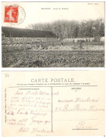 77 - BEAUVOIR - Jardin Du Château - Sonstige & Ohne Zuordnung