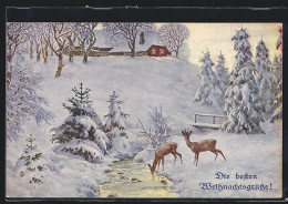 Künstler-AK M. Munk Nr. 1166: Rehe Auf Der Verschneiten Lichtung, Die Besten Weihnachtsgrüsse  - Autres & Non Classés