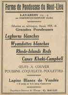 FERME DE PONDEUSES DU HAUT-LIEU - Pubblicità 1929 - Advertising - Advertising