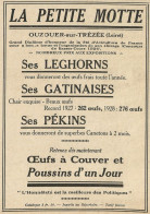 La Petite Motte - Poussins D'un Jourf - Pubblicità 1929 - Advertising - Advertising