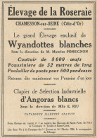 Grand èlevage Exclusif De Wyandottes Blanches - Pubblicità 1928 - Advert. - Advertising