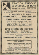 Station Avicole Du Chateau Du Bois - Pubblicità 1928 - Advertising - Advertising