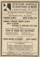 Station Avicole Du Chateau Du Bois - Pubblicità 1929 - Advertising - Advertising