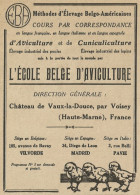 L'ècole Belge D'aviculture - Pavie - Vilvorde - Pubblicità 1928 - Advertis - Advertising