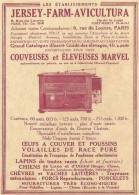 Jersey Farm Aviculture - Couveuses Et Eleveuses - Pubblicità 1922 - Adv. - Advertising