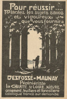 Frutteti Desfossè-Maunay - Pubblicità 1928 - Advertising - Advertising