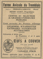 Ferme Avicole Du Tremblais - Pubblicità 1929 - Advertising - Advertising