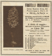 Bulbi Da Fiore F.lli INGEGNOLI - Pubblicità 1934 - Advertising - Werbung