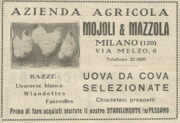 Uova Da Cova - Azienda Agricola MOJOLI & MAZZOLA - Pubblicità 1938 - Adv. - Werbung