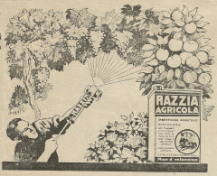 RAZZIA AGRICOLA Insetticida - Pubblicità 1928 - Advertising - Werbung