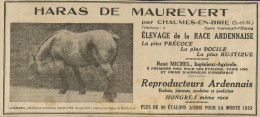 Haras De Maurevert Par Chaumes En Brie - Pubblicità 1929 - Advertising - Publicités