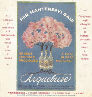 ARQUEBRUSE Cordiale A Base Di Erbe  - Pubblicità 1927 - Advertising - Reclame