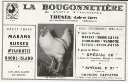 Croisements Spèciaux LA BOUGONNETTIERE - Pubblicità 1962 - Advertising - Reclame