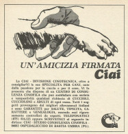 Un'amicizia Firmata CIAI - Ospedalicchio Di Bastia Umbra - Pubblicità 1971 - Reclame