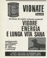 Alimento Per Cani VIONATE SQUIBB - Pubblicità 1968 - Advertising - Publicités