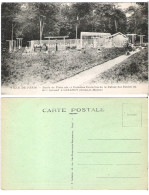 77 - LUZANCY (S.-et-M.) - Ville De Paris - Ecole De Plein Air Et Colonie Scolaire De La Caisse Des Ecoles Du 18e Arrt - Sonstige & Ohne Zuordnung