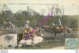 Scènes De La Vie Normande .  Visite à La Ferme . Servantes Revenant Dse Traire .  CPA Animée . - Other & Unclassified