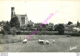 49.  LES GARDES .  Vue Générale Par La Route De St-Georges . - Other & Unclassified