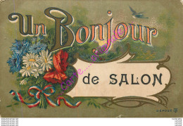 13.  Un Bonjour De SALON . - Salon De Provence