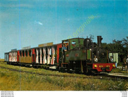 45. PITHIVIERS . Musée Des Transports . Le Tortillard Au Terminus De Bellébat . - Pithiviers