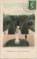 85 - LUCON - Allée Des Ifs, Jardin Public - Lucon