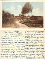 77 - CHOISY-EN-BRIE - Route Saint-Simeon - Other & Unclassified