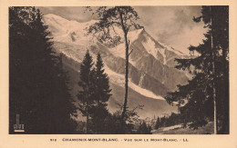 74-CHAMONIX MONT BLANC-N°T5269-C/0023 - Chamonix-Mont-Blanc