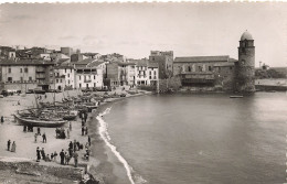 66-COLLIOURE-N°T5270-C/0249 - Collioure