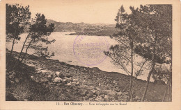 50-ILES CHAUSEY LE SUND-N°T5272-D/0147 - Sonstige & Ohne Zuordnung