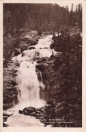 65-CAUTERETS-N°T5273-B/0335 - Cauterets