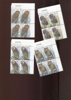 Belgie 1999 2805/08 OWLS Birds Daniels In Blocks Of 4 MNH - Ongebruikt