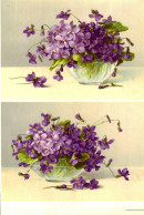 Grande Image Chromo Début XXe S. - Violettes - Altri & Non Classificati