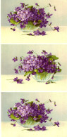 Grande Image Chromo Début XXe S. - Violettes - Altri & Non Classificati