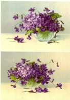 Grande Image Chromo Début XXe S. - Violettes - Andere & Zonder Classificatie