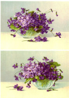 Grande Image Chromo Début XXe S. - Violettes - Sonstige & Ohne Zuordnung