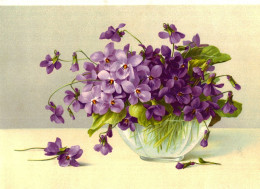 Grande Image Chromo Début XXe S. - Violettes - Sonstige & Ohne Zuordnung