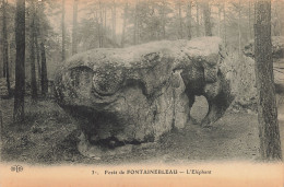 77-FONTAINEBLEAU LA FORET L ELEPHANT-N°T5274-A/0013 - Fontainebleau