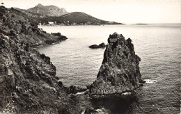 83-SAINT RAPHAEL-N°T5274-D/0021 - Saint-Raphaël